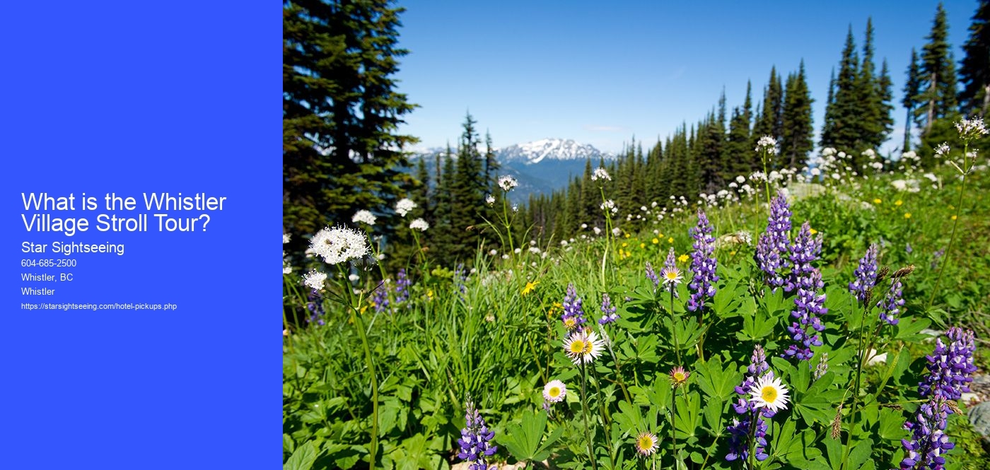 What is the Whistler Village Stroll Tour?