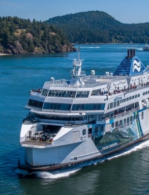 Sightseeing Tour Day trips showcasing local highlights