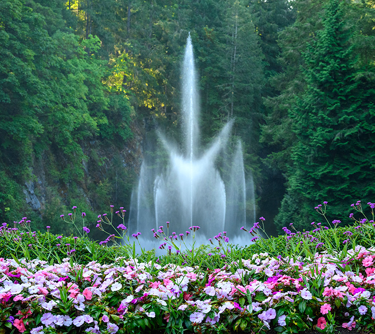 Day trips showcasing local highlights BC tourist spots
