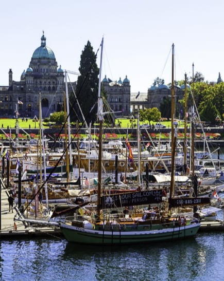 Victoria Sightseeing Tours sightseeing cruise