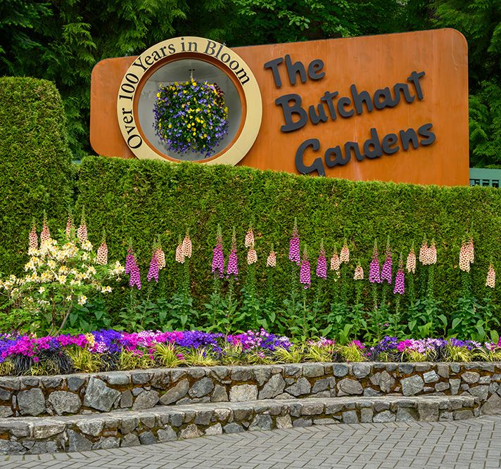 Eco-friendly travel and tour experiences
