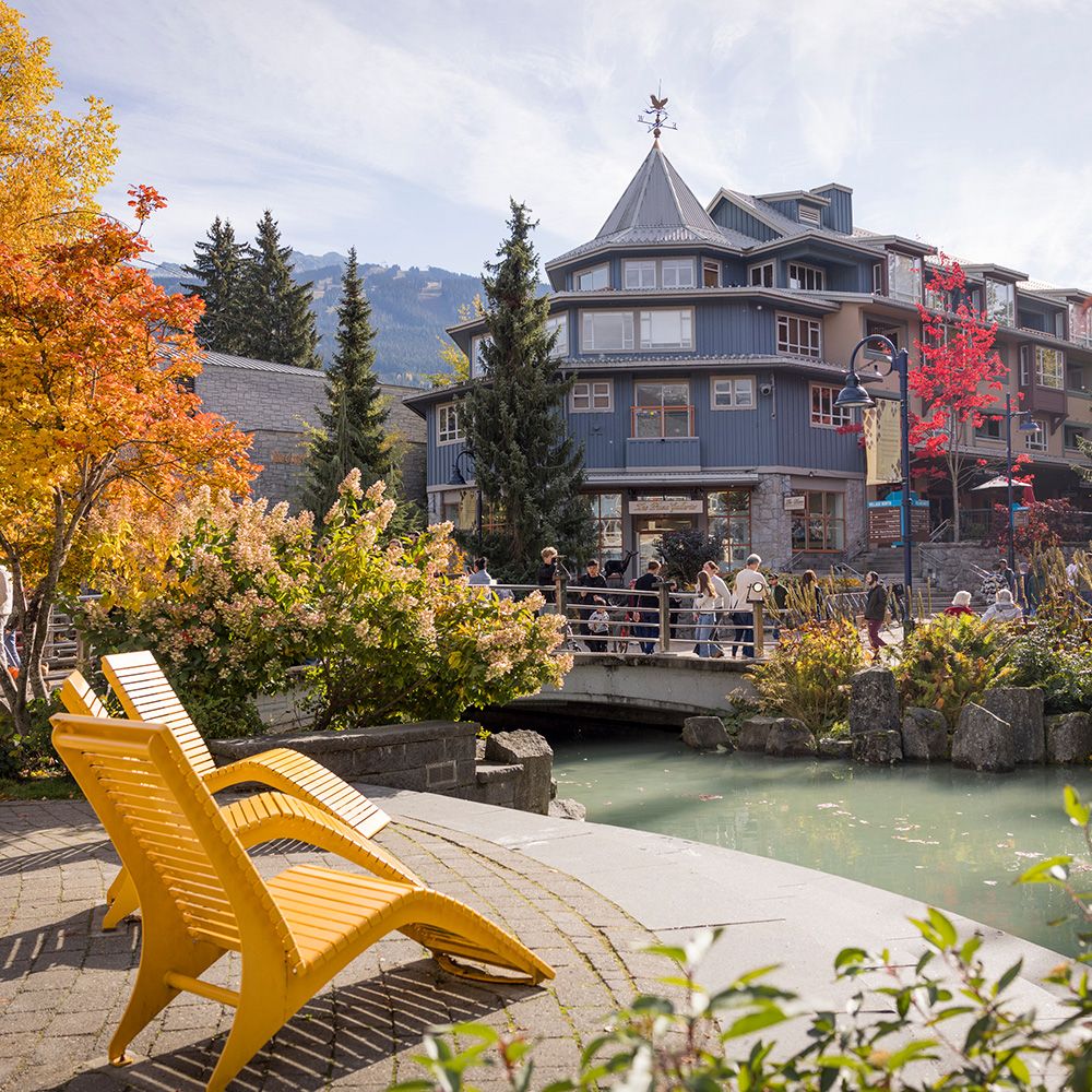 Whistler stargazing guided tours