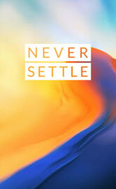 Never Settle
