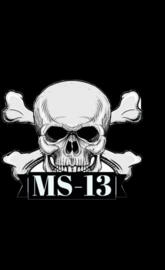 Ms13