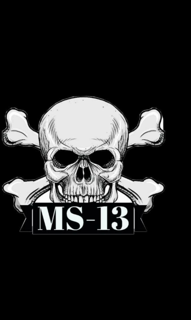 Ms13