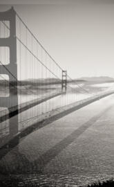 Golden Gate 3d