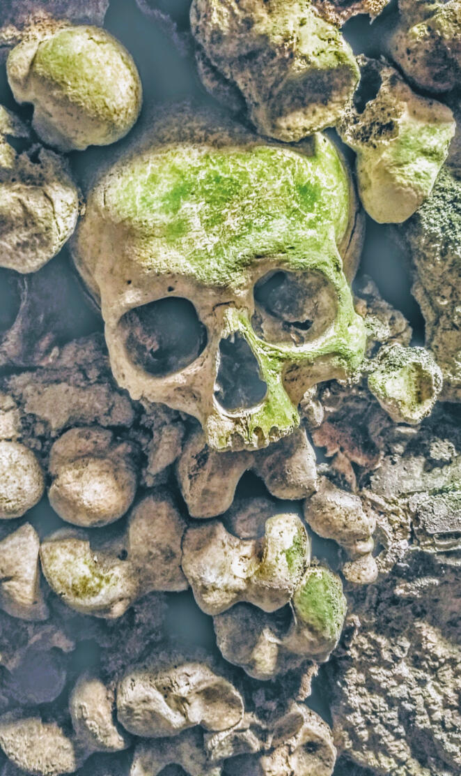 Moss Skull