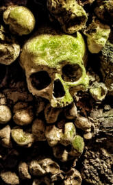 Moss Skull