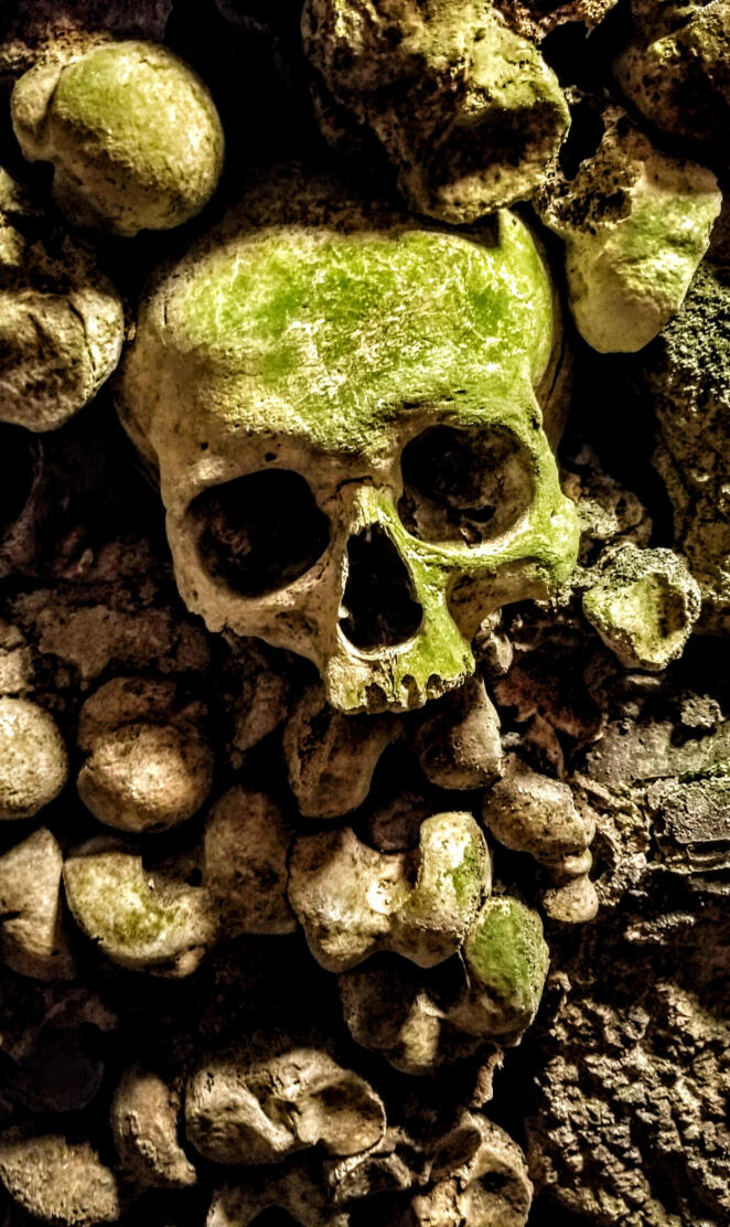 Moss Skull