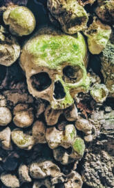 Moss Skull