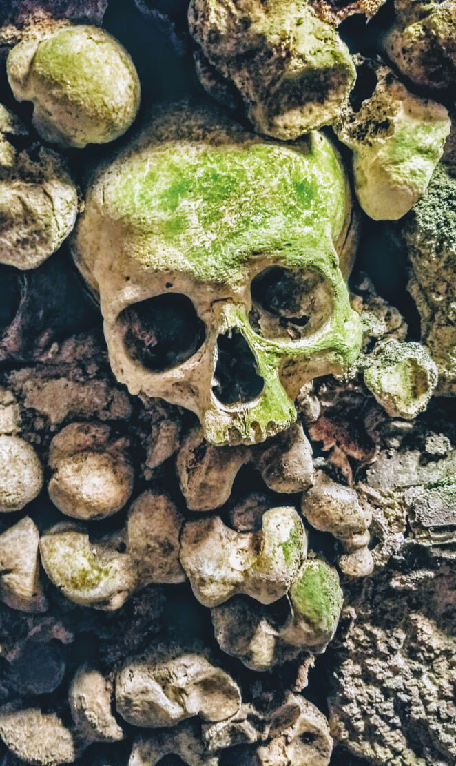 Moss Skull