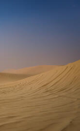Desert of Dubai