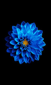 Samsung Super Amoled