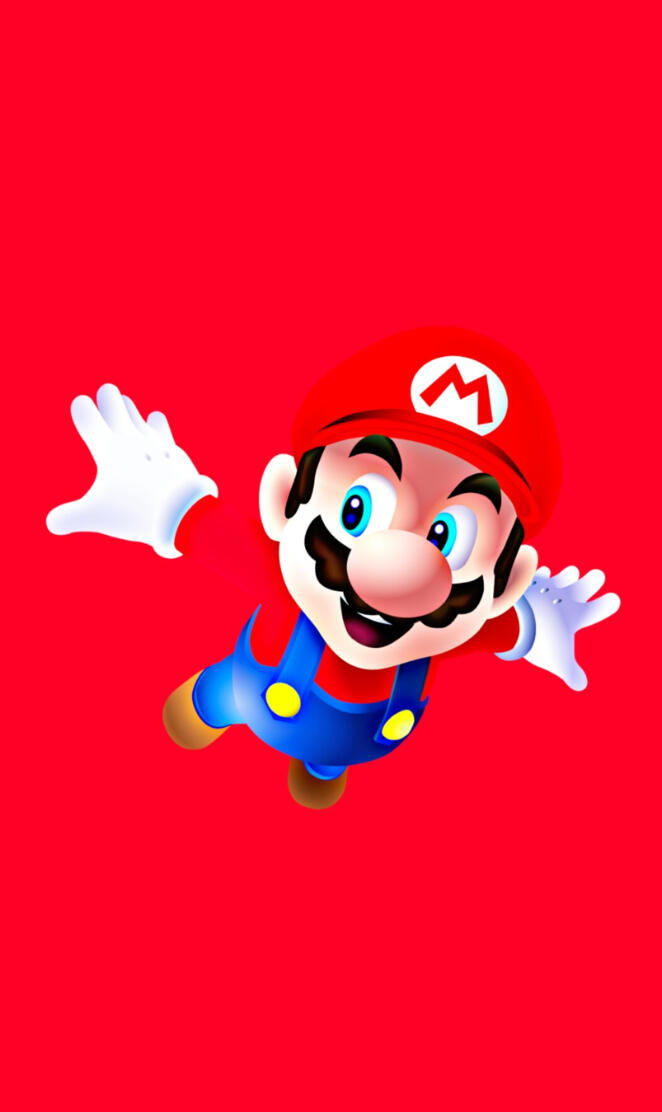 Mario Fly