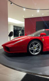 Ferrari Enzo Agencia 