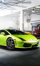 Green gallardo