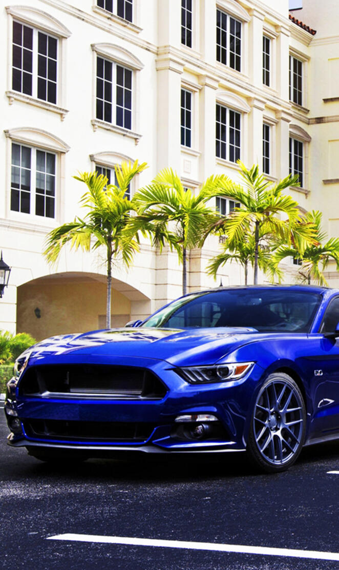 Blue Mustang