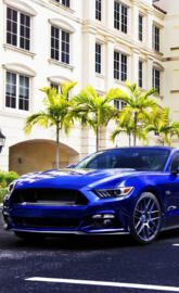 Blue Mustang