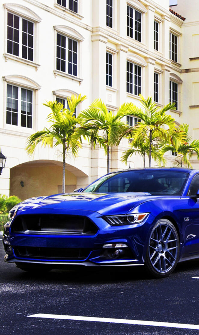 Blue Mustang