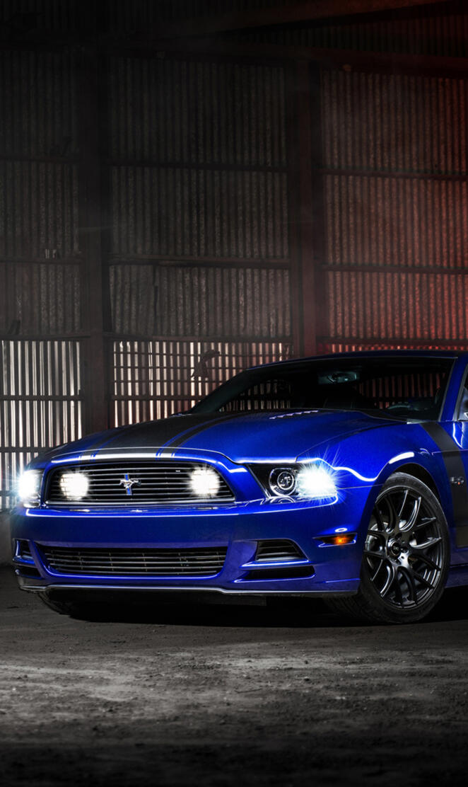 Blue mustang
