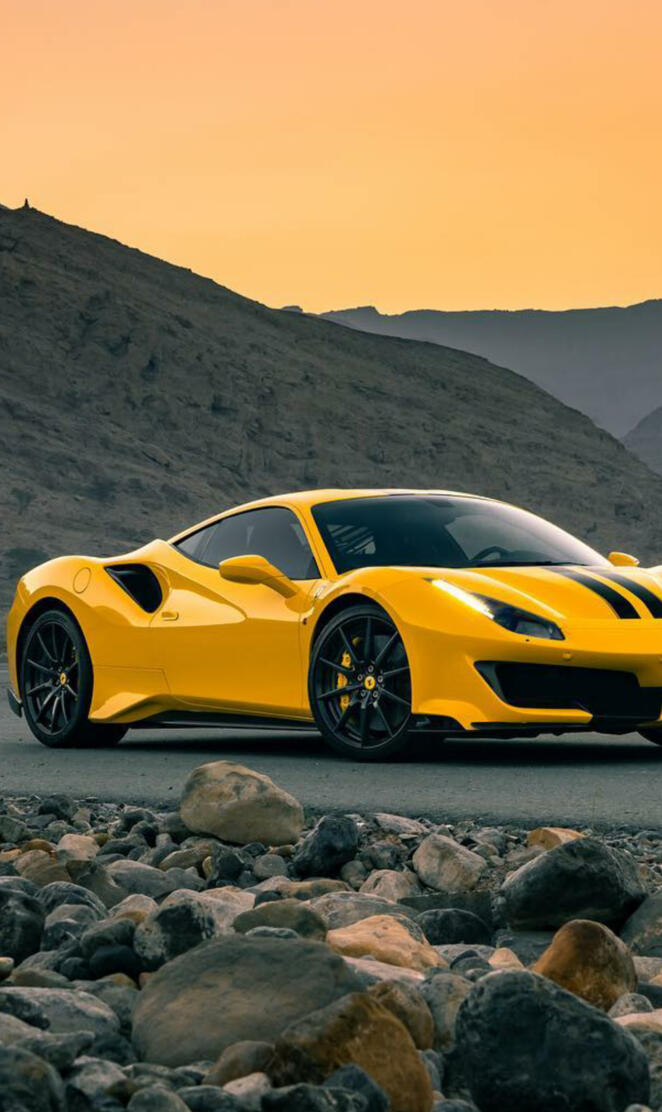 NEW 488 Pista