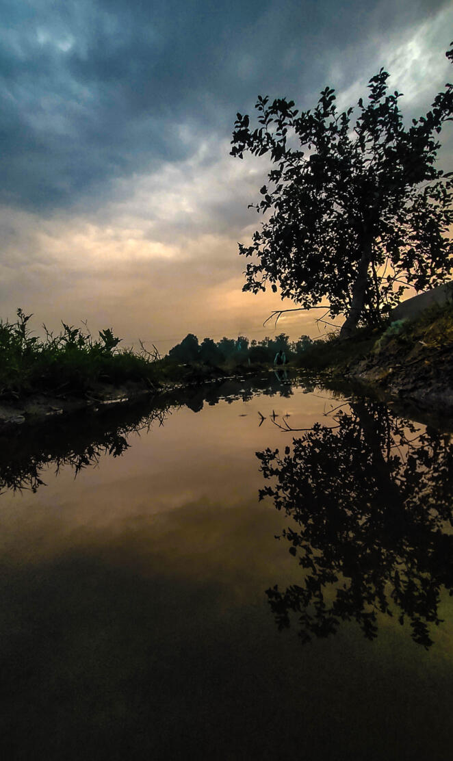 4k HD Wallpaper Nature