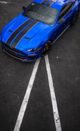 Mustang MR11