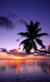Tropical Sunset1