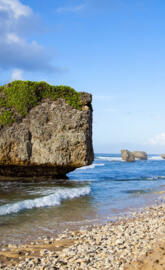 Bathsheba Beach