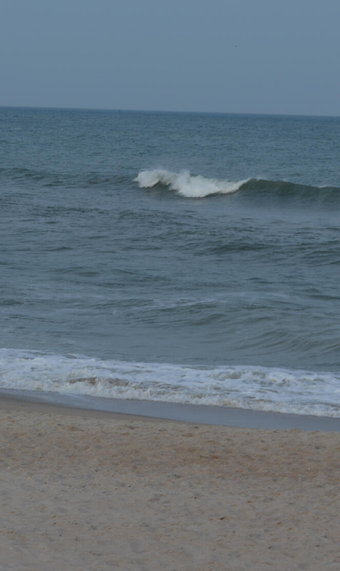 North Carolina Beach