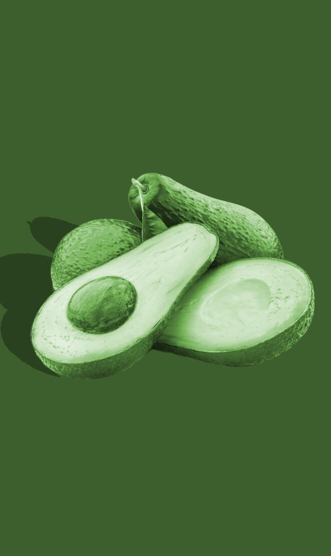 Minimalistic Avacado