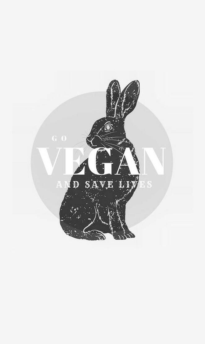 Vegan Bunny