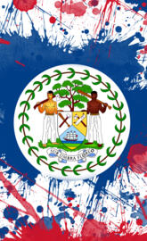 Belize Flag 