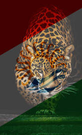 Talysh Flag Leopard