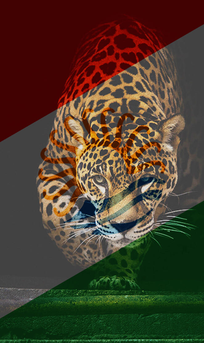 Talysh Flag Leopard