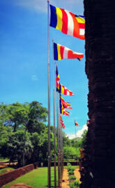 Buddhist Flags