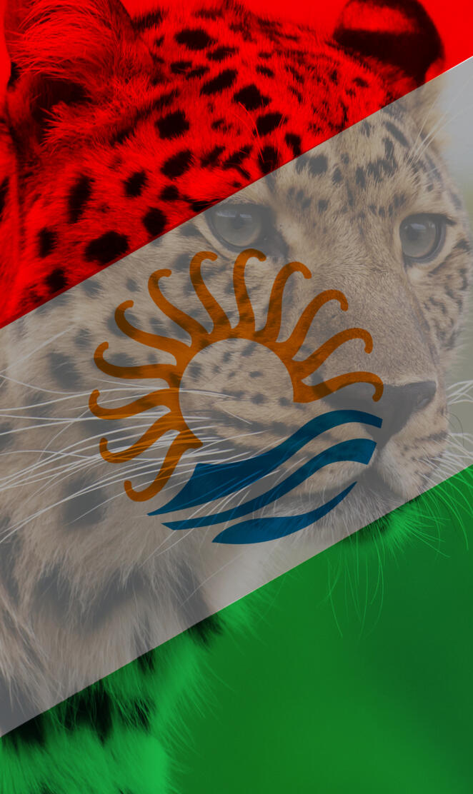 Talysh Flag Leopard