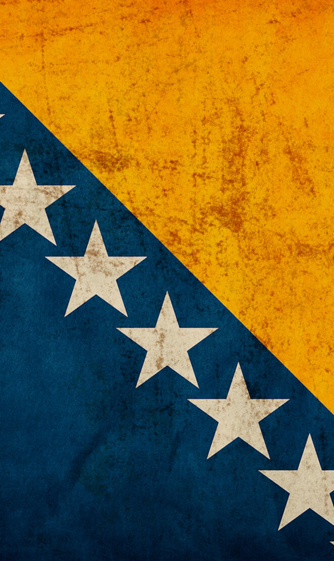 BiH Flag