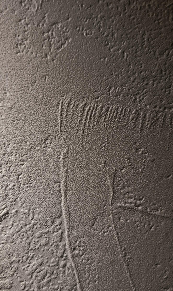 4k Swedish Design S21