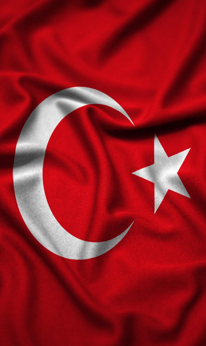 Flag of turkey