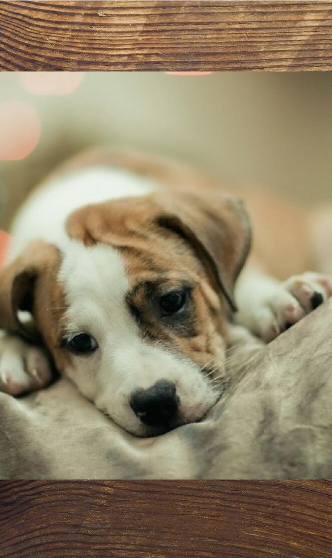 Wish I had a brother