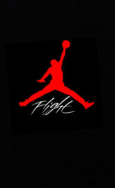 Air Jordan Flight