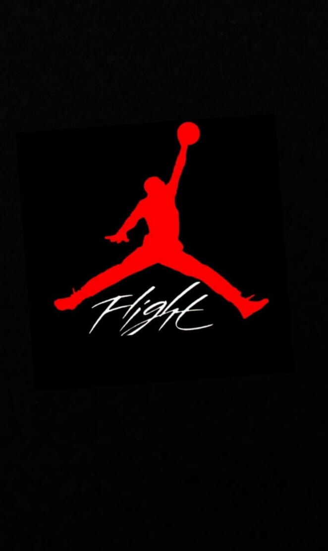 Air Jordan Flight