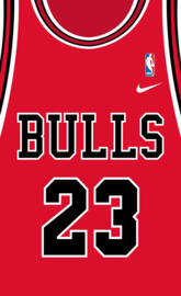 Jordan Jersey Red2