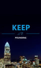 Carolina Panthers
