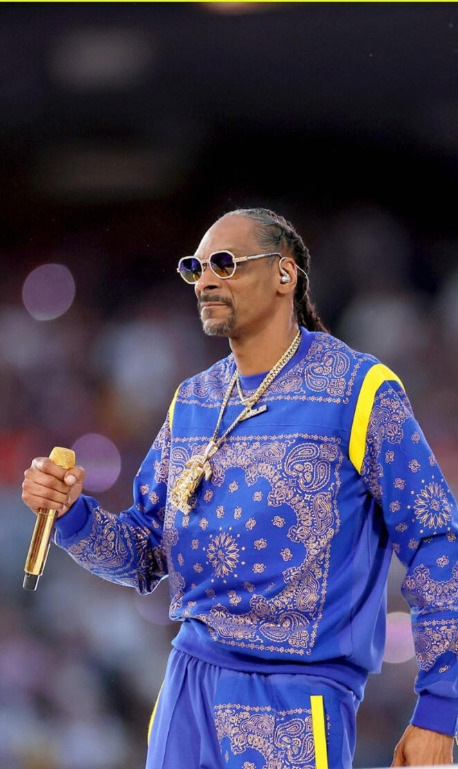 Snoop Dog Super Bowl