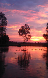 Sunset at river side