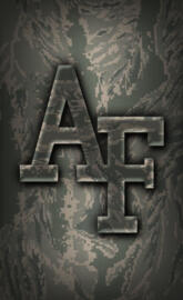 Air Force Falcons