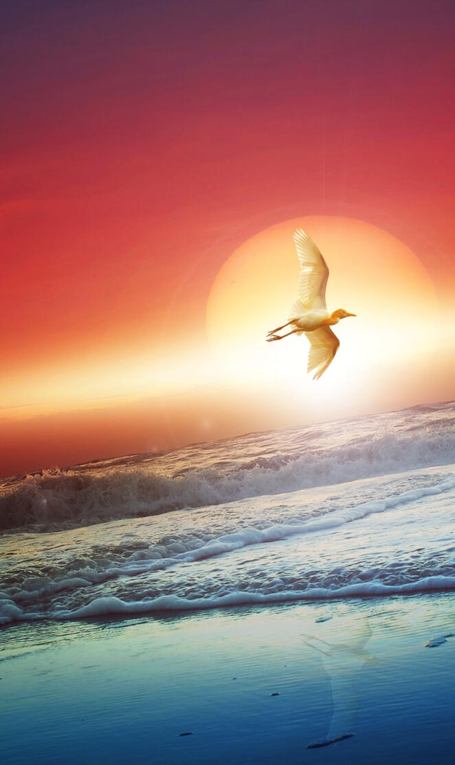 4k Pure HD Sensation