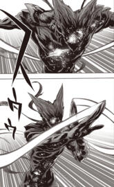 Garou wallpaper manga